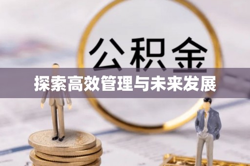 虎林探索高效管理与未来发展