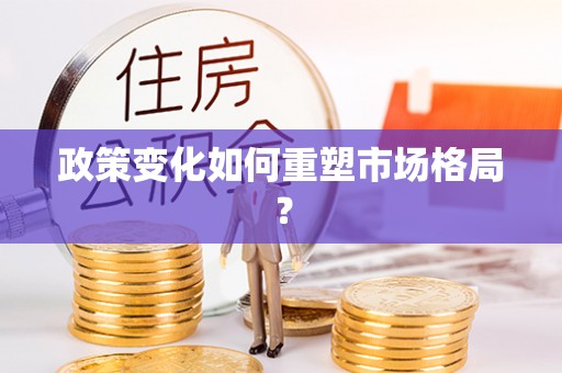 虎林政策变化如何重塑市场格局？