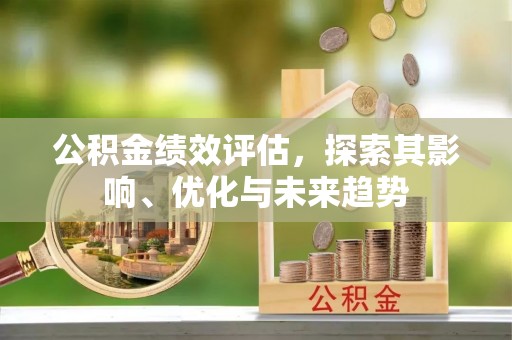 虎林公积金绩效评估，探索其影响、优化与未来趋势