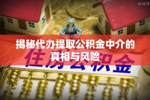 虎林揭秘代办提取公积金中介的真相与风险