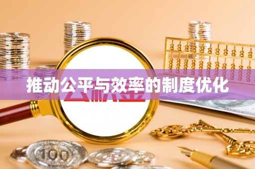 虎林推动公平与效率的制度优化
