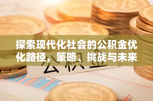 虎林探索现代化社会的公积金优化路径，策略、挑战与未来展望