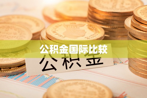 虎林公积金国际比较
