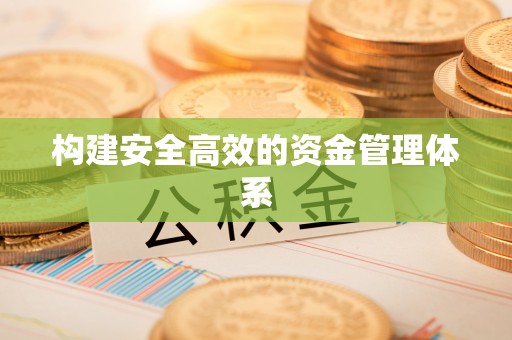 虎林构建安全高效的资金管理体系