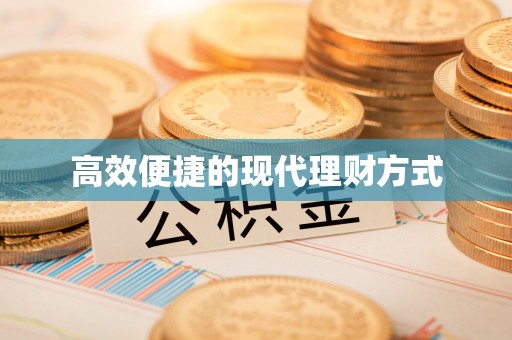 虎林高效便捷的现代理财方式