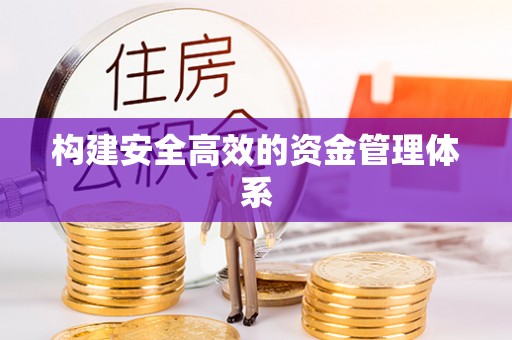 虎林构建安全高效的资金管理体系