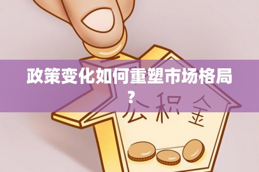 虎林政策变化如何重塑市场格局？