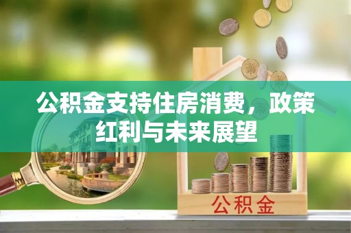 虎林公积金支持住房消费，政策红利与未来展望