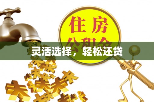 虎林灵活选择，轻松还贷
