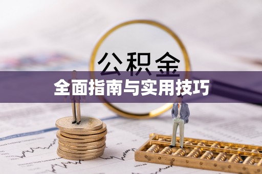 虎林全面指南与实用技巧